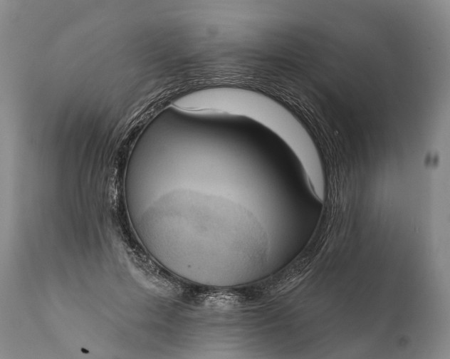 X0000112000599200908171421