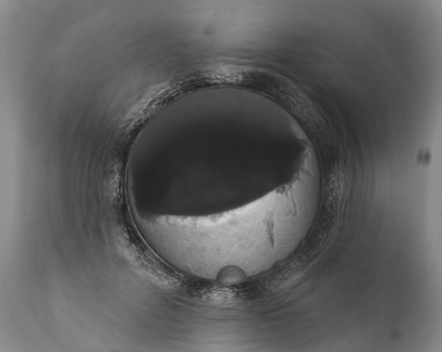 X0000112000600200908171421