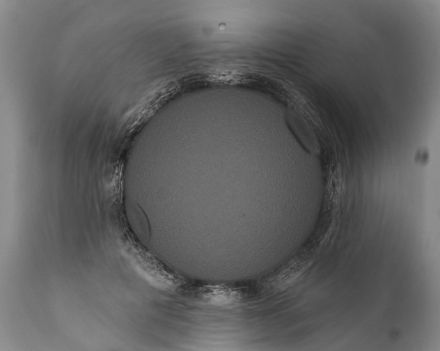 X0000112000601200908171421