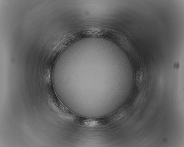 X0000112000602200908171421