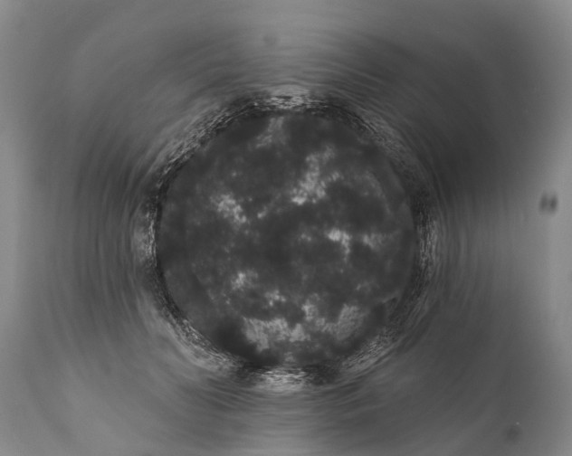 X0000112000606200908171421