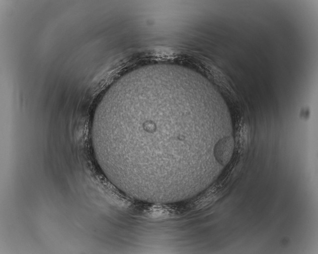 X0000112000608200908171421