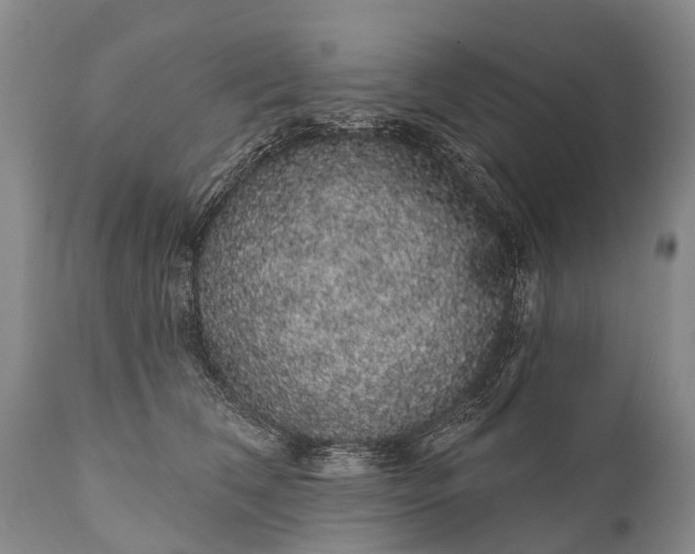 X0000112000612200908171421