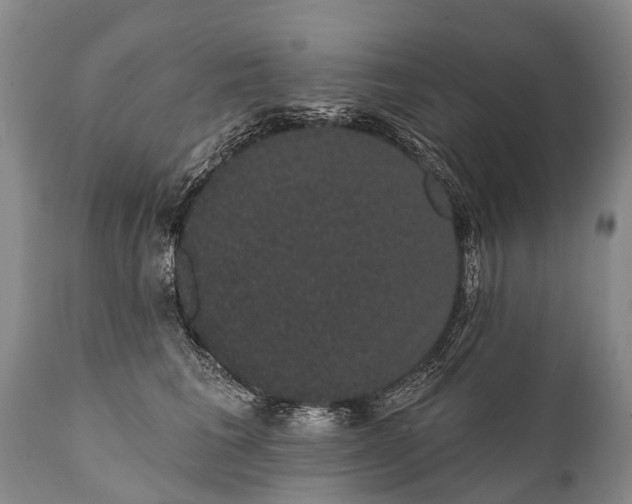 X0000112000613200908171421