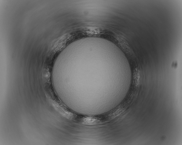 X0000112000614200908171421