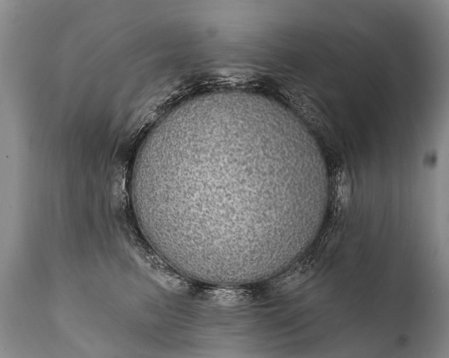 X0000112000615200908171421