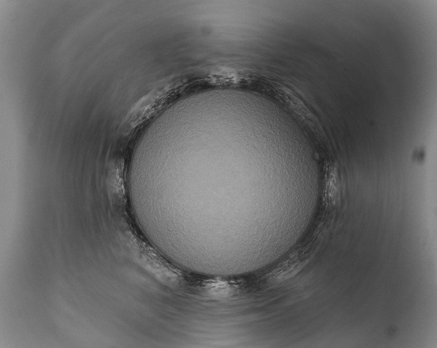 X0000112000616200908171421