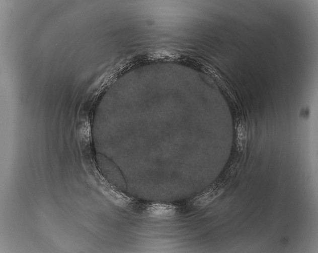 X0000112000617200908171421