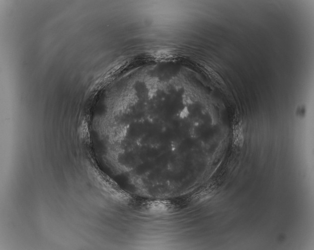 X0000112000618200908171421