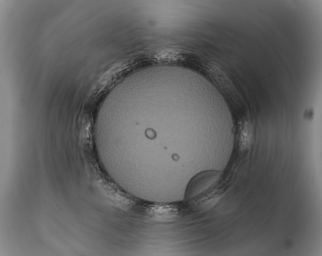 X0000112000619200908171421