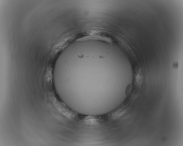 X0000112000620200908171421