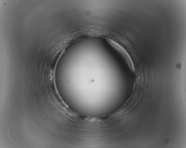 X0000112000621200908171421