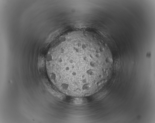 X0000112000623200908171421