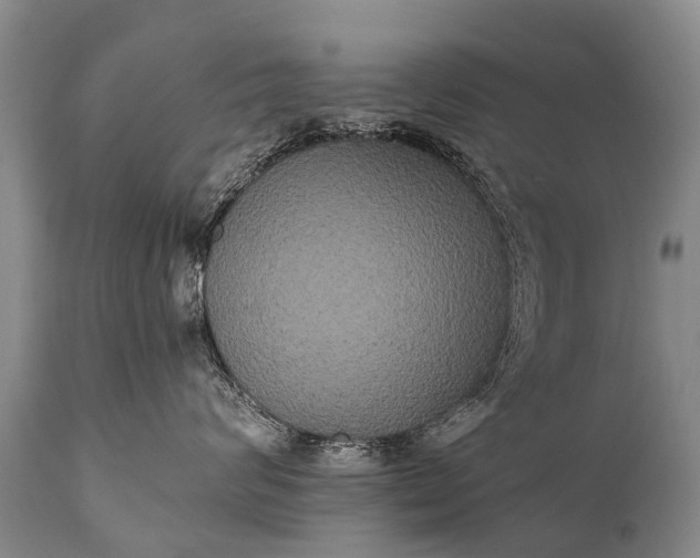 X0000112000624200908171420