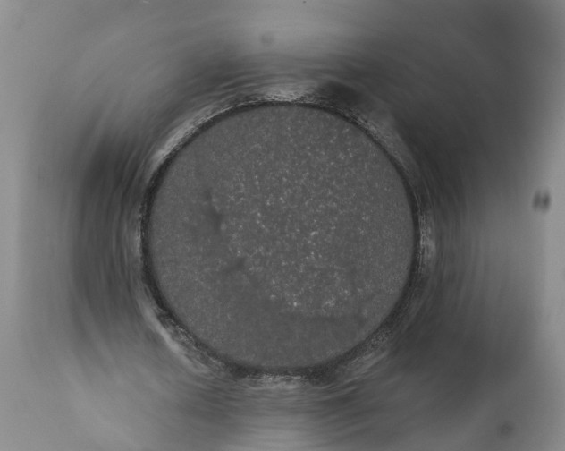 X0000112000626200908171420