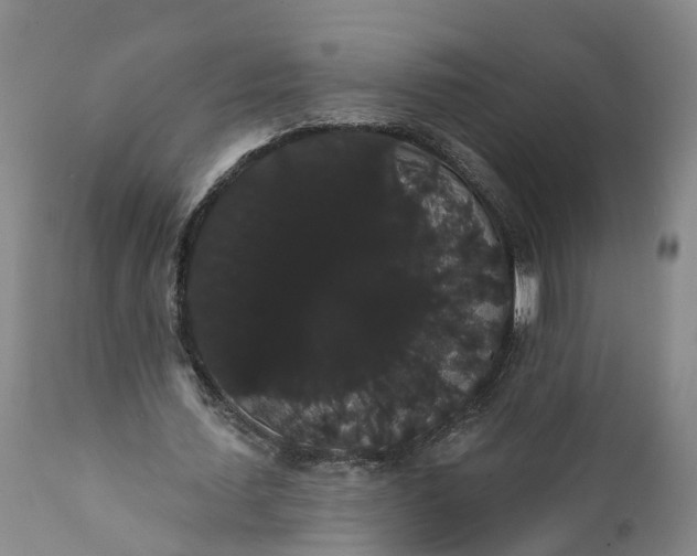 X0000112000627200908171420