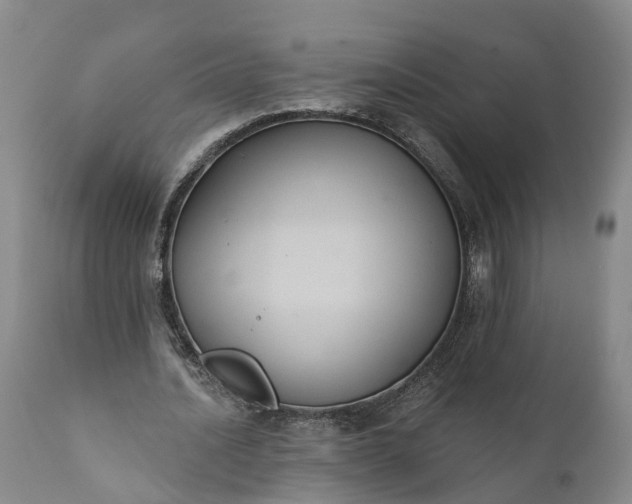 X0000112000628200908171420