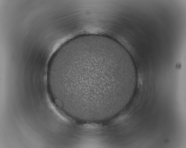 X0000112000630200908171420