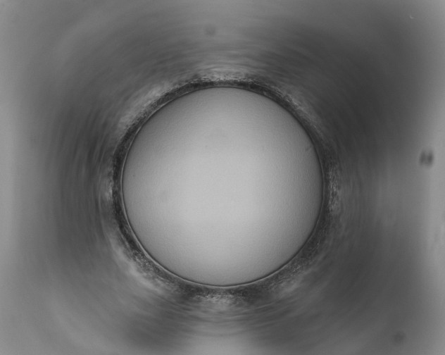 X0000112000631200908171420