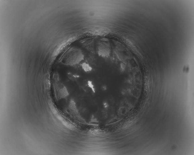 X0000112000634200908171420