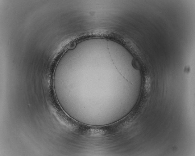 X0000112000636200908171420