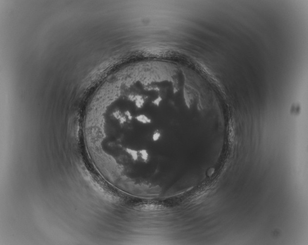 X0000112000637200908171420