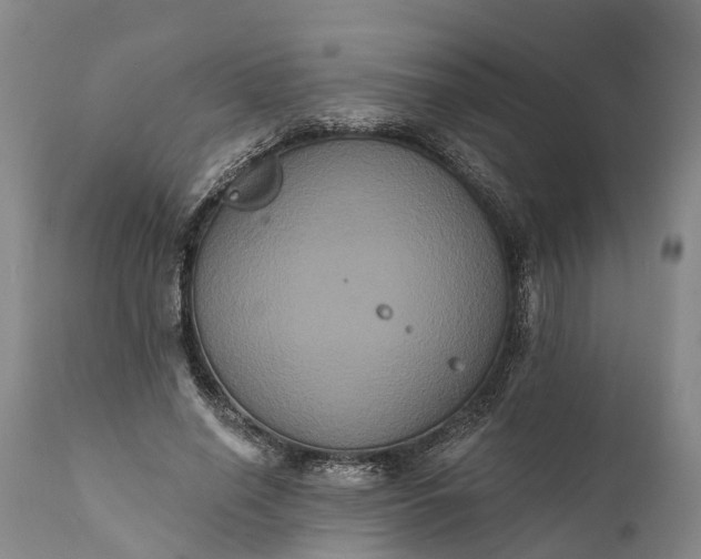 X0000112000638200908171420