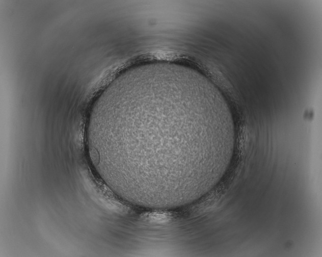 X0000112000639200908171420