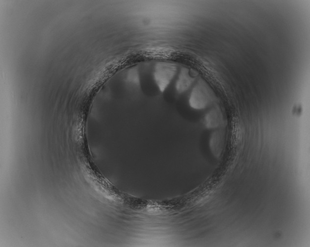 X0000112000641200908171420