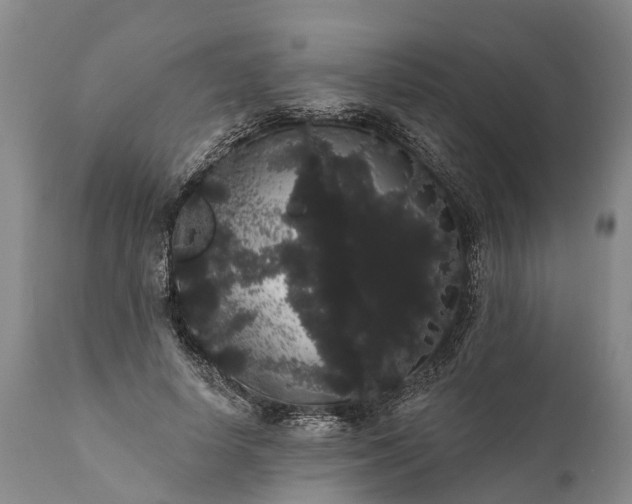 X0000112000642200908171420