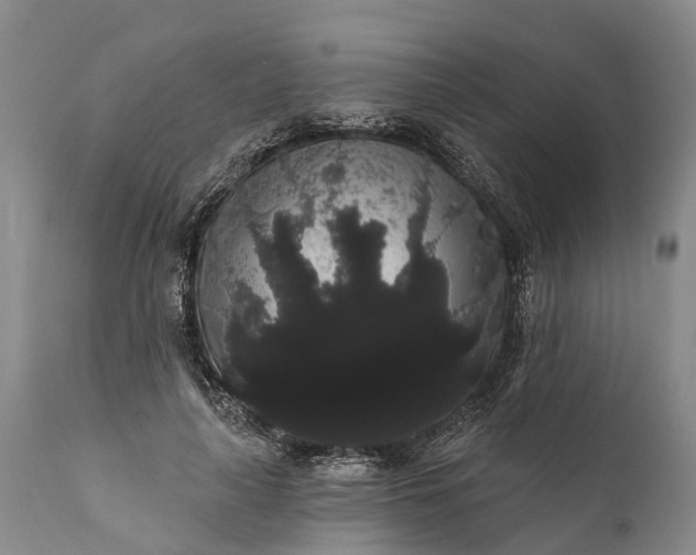 X0000112000643200908171420