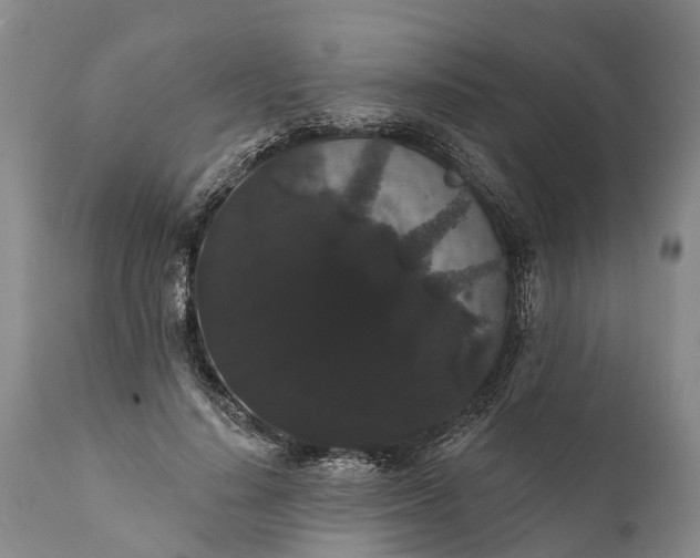 X0000112000644200908171420