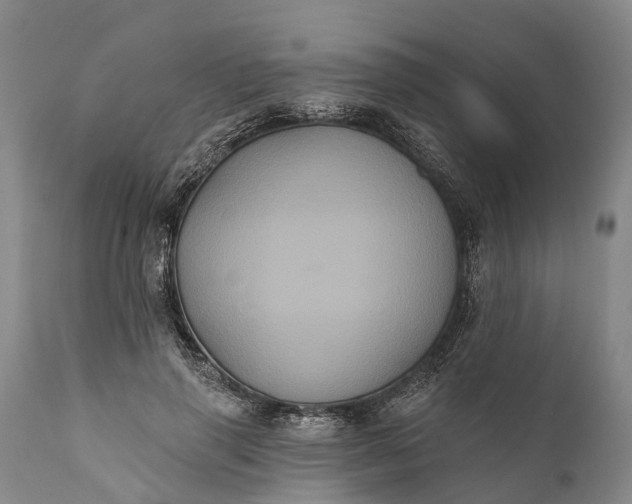 X0000112000645200908171420