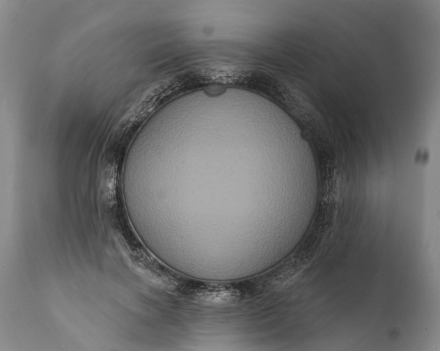 X0000112000646200908171420