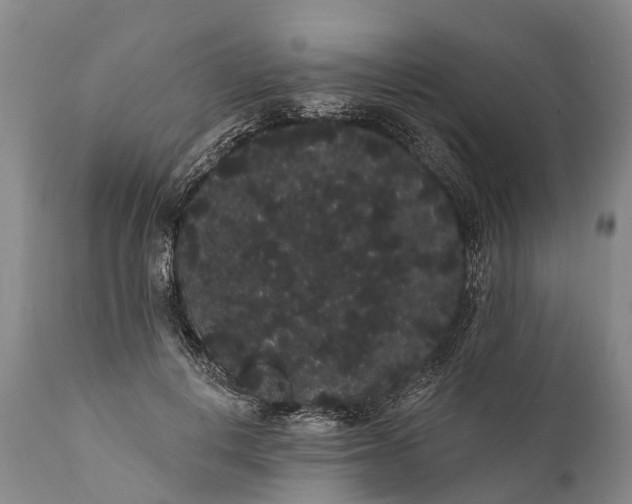 X0000112000648200908171420