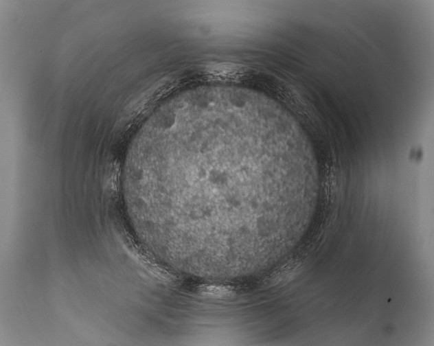 X0000112000649200908171420