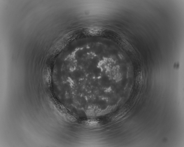 X0000112000651200908171420