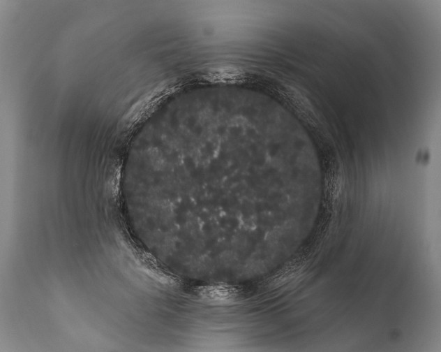 X0000112000652200908171420