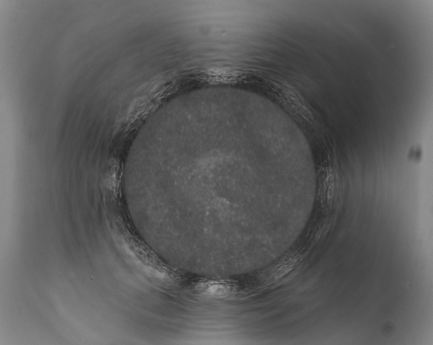 X0000112000655200908171420