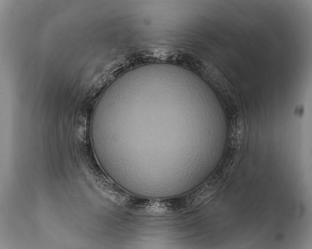 X0000112000656200908171420