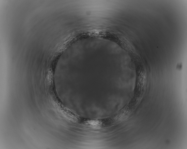 X0000112000659200908171420