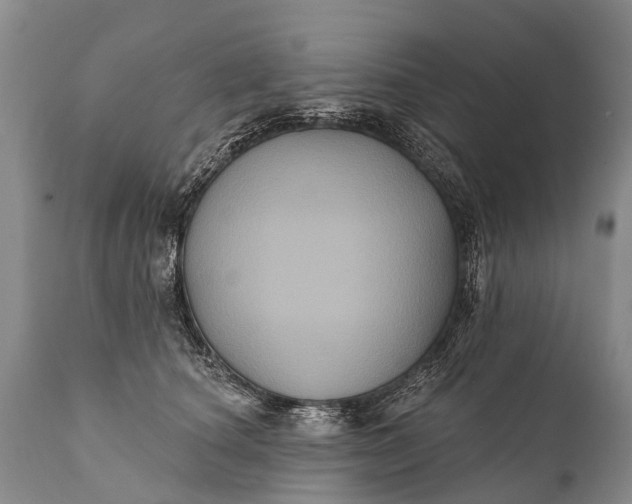 X0000112000660200908171420