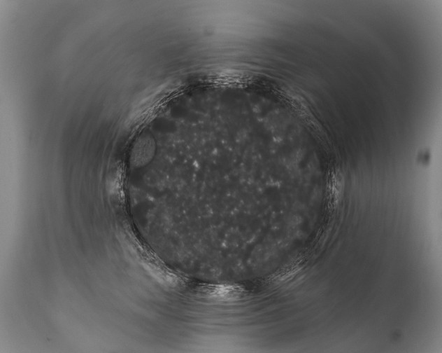 X0000112000663200908171420