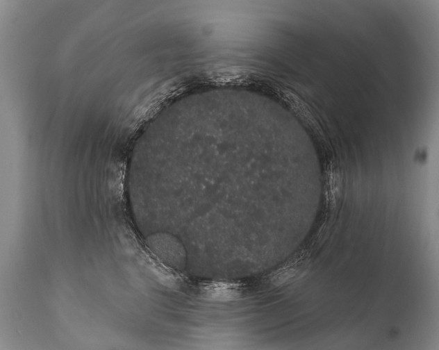 X0000112000664200908171420