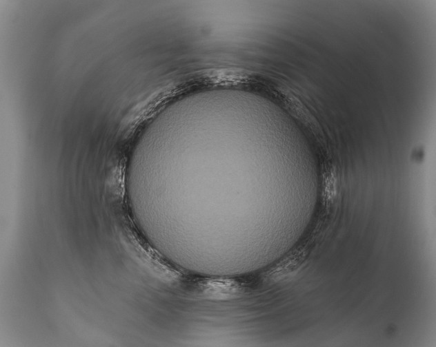 X0000112000666200908171420