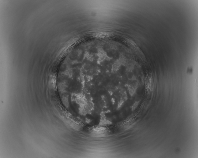 X0000112000669200908171420