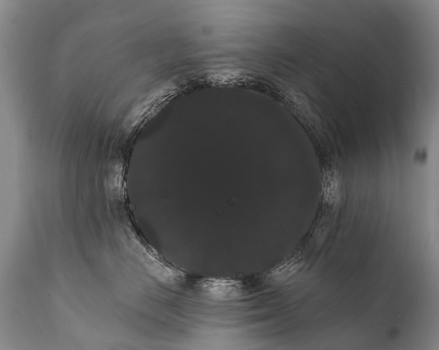 X0000112000670200908171420