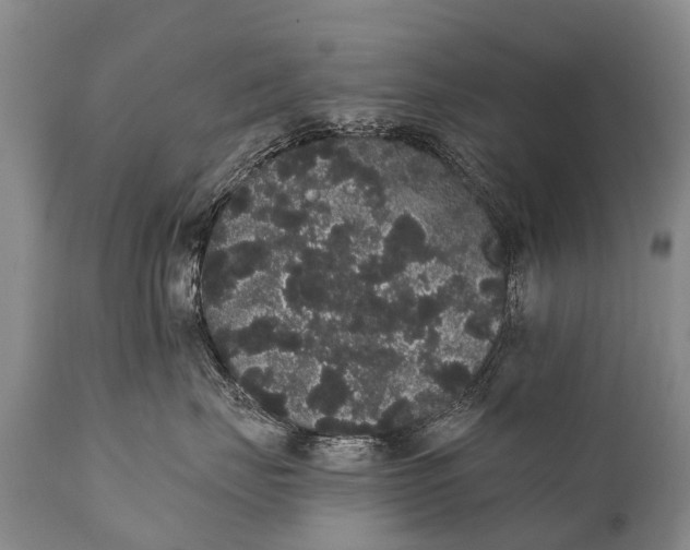 X0000112000671200908171420