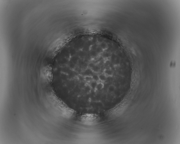 X0000112000672200908171420