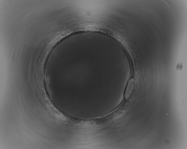 X0000112000673200908171420